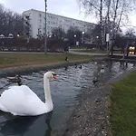 Widok Na Stawy *